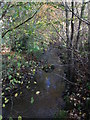 Darden Burn near Coastley