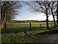 Brackagh Townland