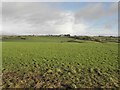 Brackagh Townland