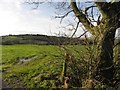 A gap in the field, Brackagh