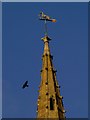 Weathervane on Hanslope Church