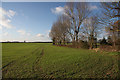 Footpath to Clopton Hall