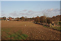 Farmland at Woolpit Green