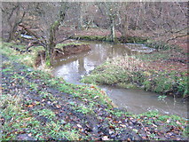 NZ1539 : River Deerness west of East Hedleyhope by peter robinson