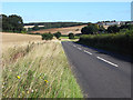 Road below Bentworth