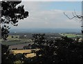 View north west from Nesscliffe Hill