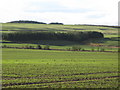 Farmland and woods near East Elrington