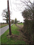 TM1787 : View south-west along Green Lane by Evelyn Simak