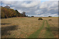 Open access land at Thetford Heath