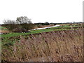 TQ6508 : Pevensey Levels from just south of Marsh Foot Farm, Wartling, East Sussex by nick macneill