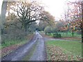 Driveway of Gawcombe