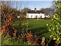 Cottage, North Carn Forest