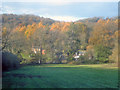 Autumn colour east of Ledbury