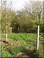 Footpath to Hannington Wick