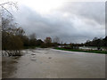 River Adur in Flood