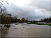 TQ2018 : River Adur in Flood by Simon Carey