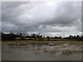 TQ2118 : Flooded Plain, Shermanbury Park by Simon Carey