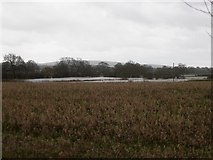 TQ2018 : Flooded Fields near Shermanbury Grange by Simon Carey