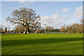 Burford Lodge Recreation Ground, Elstead