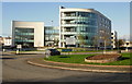 Offices adjacent to Octopus roundabout, Newport