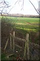 Footpath junction near Coldbridge Wood