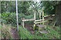 Footpath in Finlow Hill Wood