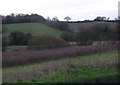 Countryside between Bildeston and Hitcham