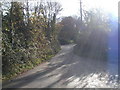 Lane in winter sunlight at Marsh Barton