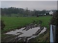 Field near Waterfoot