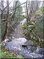 The River Ribble upstream of Washpit Mills, Cartworth