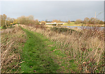 TL5479 : Footpath along the River Great Ouse by Evelyn Simak