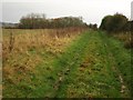 Footpath near Bishop