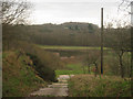 Disused Quarry