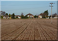 Field and houses on Holbrook Road