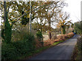 Fishponds Lane towards Holbrook