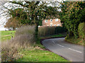 Looking up Harkstead Road