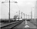 Tram at Little Bispham