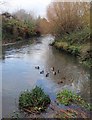 Junction of Wandle and Graveney