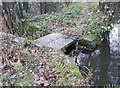 Sluice, Washpit Mills, Cartworth