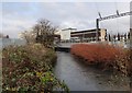 River Wandle near Wimbledon