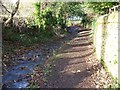 Footpath by the stream