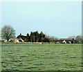 2009 : Loppinger Farm north of Steeple Ashton