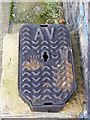 TG0524 : Water Inspection Cover, The Street, Themelthorpe by Geographer