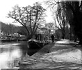 River Wey at Weybridge