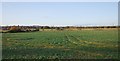 Field to the north of the Saxon ShoreWay