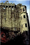 W6075 : Blarney Castle - East Wall by Joseph Mischyshyn
