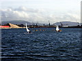 Windsurfing in Swansea dock