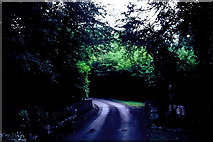 N1336 : Castledaly Manor - Entrance drive by Joseph Mischyshyn
