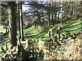 Footpath below Eyam Edge