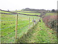 Deer fence, at Burnicombe Farm